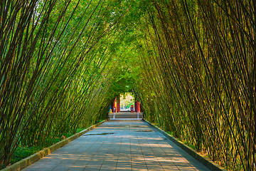 Image showing Wangjiang Pavilion in Wangjianglou park. Chengdu, Sichuan, China