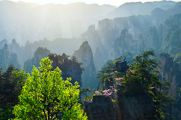 Image showing Zhangjiajie mountains, China