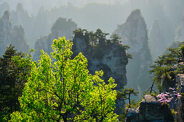 Image showing Zhangjiajie mountains, China