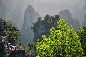 Image showing Zhangjiajie mountains, China