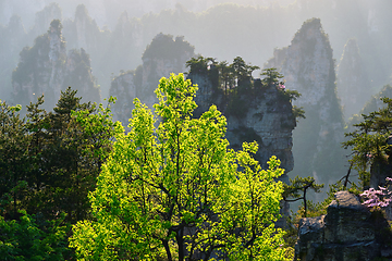 Image showing Zhangjiajie mountains, China