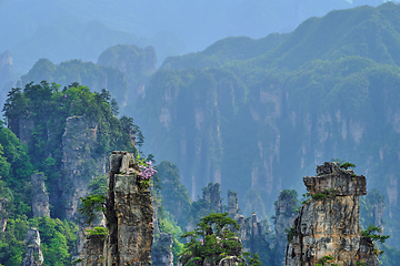 Image showing Zhangjiajie mountains, China