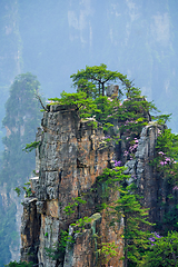 Image showing Zhangjiajie mountains, China