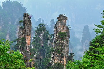 Image showing Zhangjiajie mountains, China