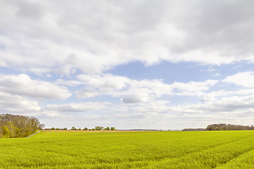 Image showing rural landscape at spring time