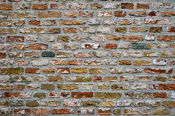 Image showing Brick wall texture background