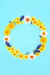 Image showing Natural Spring and Easter Floral Wreath