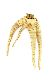 Image showing Parsnip Vegetable Twisted and Forked