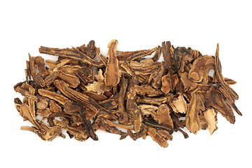 Image showing Hog Fennel Root Herb Chinese Herbal Plant Medicine