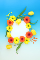 Image showing Flamboyant Spring and Easter Flower Background Border 