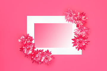 Image showing Chrysanthemum Flower Abstract Pink Background Border