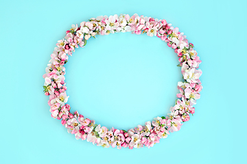 Image showing Apple Blossom Flower Spring Wreath