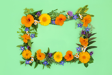 Image showing Healing Herbs and Edible Flower Background Frame