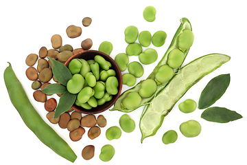 Image showing Broad Bean Legumes Healthy Super Food