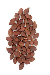 Image showing Boat Sterculia Seed Chinese Herbal Medicine