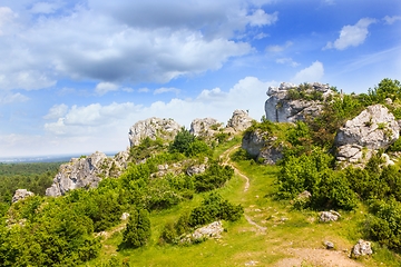 Image showing On the peak of Gora Zborow in Podlesice, Poland