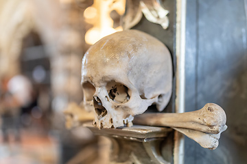 Image showing Human skulls and bones in ossuary Sedlec Kostnice