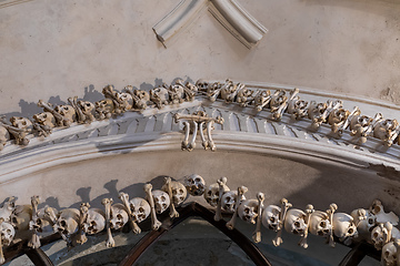 Image showing Human skulls and bones in ossuary Sedlec Kostnice