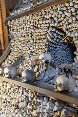 Image showing Human skulls and bones in ossuary Sedlec Kostnice