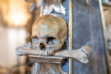 Image showing Human skulls and bones in ossuary Sedlec Kostnice