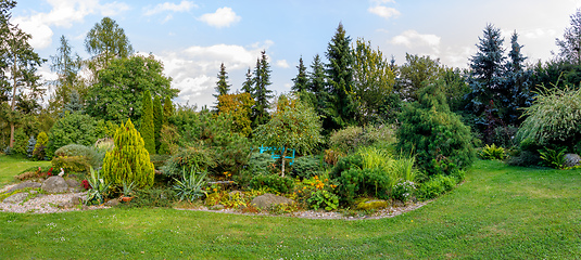 Image showing autumn in garden. Fall concept gardening