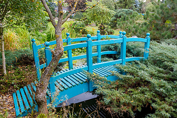 Image showing small turquoise footbridge over a pond