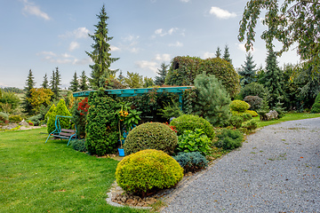 Image showing autumn in garden. Fall concept gardening