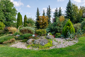 Image showing autumn in garden. Fall concept gardening