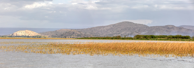 Image showing panorama of ethiopian lake Ziway, Ethiopia