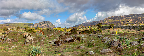 Image showing beautiful landscape of Bale Mountain