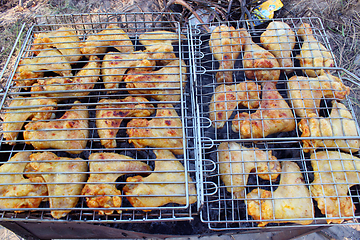 Image showing barbecue from hen 's meat cooked on the fire