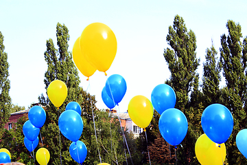 Image showing color balloons on the holiday of the 1st September