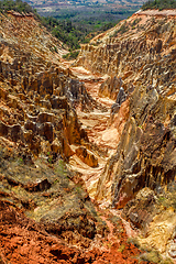 Image showing Ankarokaroka canyon Ankarafantsika, Madagascar
