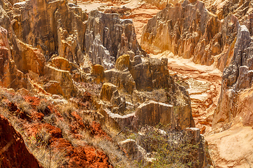 Image showing Ankarokaroka canyon Ankarafantsika, Madagascar