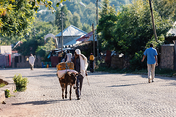 Image showing early morning on Lalibela street, Ethiopia