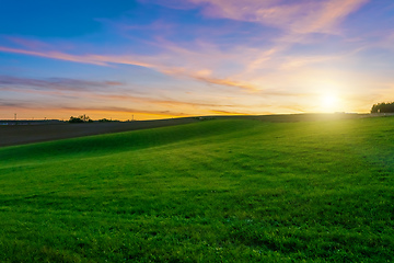 Image showing sunset over agricultural green field