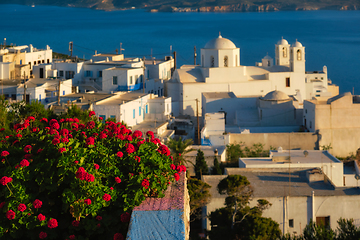 Image showing View of Plaka village on Milos island over red geranium flowers on sunset in Greece