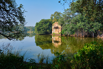 Image showing Padma Talao lake with ruins of fort. Tropical green and trees of reserve. Ranthambore National Park, Rajasthan, India