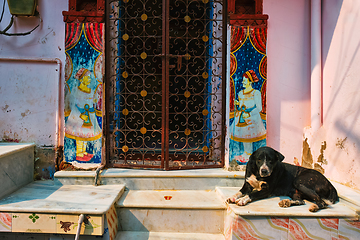 Image showing Dog in front of a house door in India