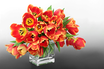 Image showing Easter and Spring Red and Yellow Tulip Flower Arrangement