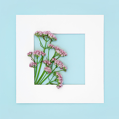 Image showing Valerian Herb Flower Background Border Composition 