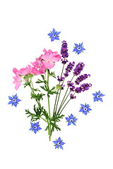 Image showing Wildflowers for Natural Skincare Healing