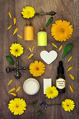 Image showing Calendula Flowers for Natural Herbal Skincare Plant Remedies