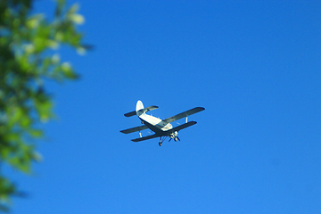 Image showing Antonov An-2 in the sky