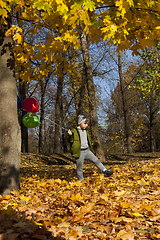 Image showing beautiful boy with a red, green and blue balloon