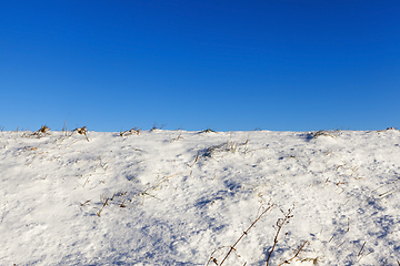 Image showing Photo of snow, close-up