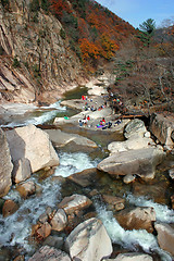 Image showing River in the mountains