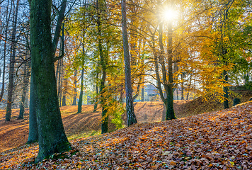 Image showing Autumn in park, fall concept