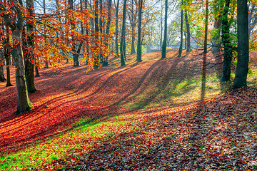 Image showing Autumn in park, fall concept