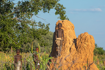 Image showing Himba boys, indigenous namibian ethnic people, Africa